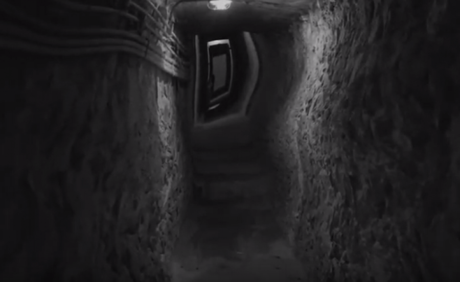 Swim! Ταινία  μικρού μήκους!